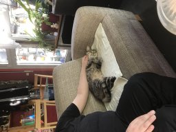 Treffen am Hotel Igel 2017